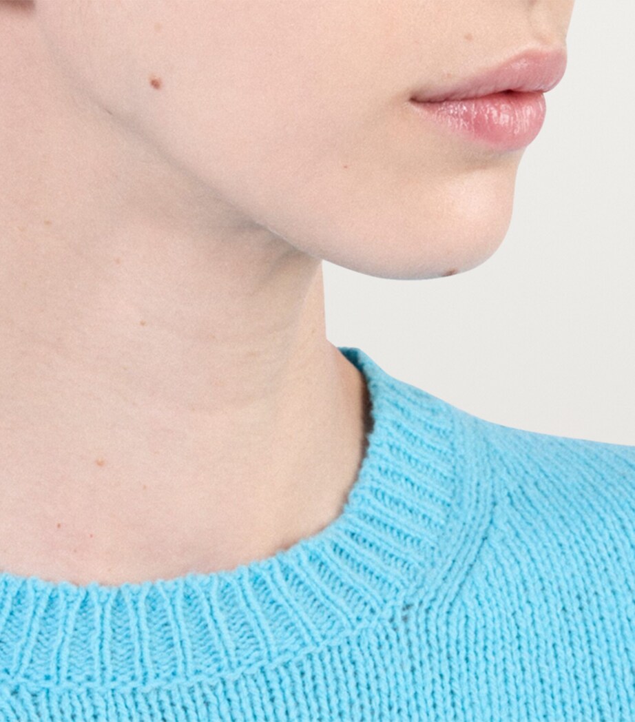 Cashmere Logo Sweater F0076 Image 5