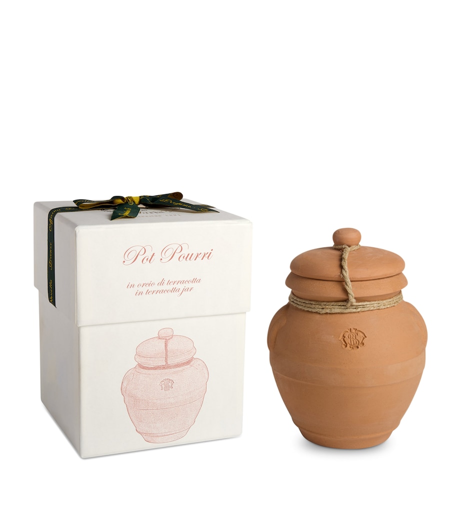 Pot Pourri Terracotta Jar (70g) NO COLOUR Image 2