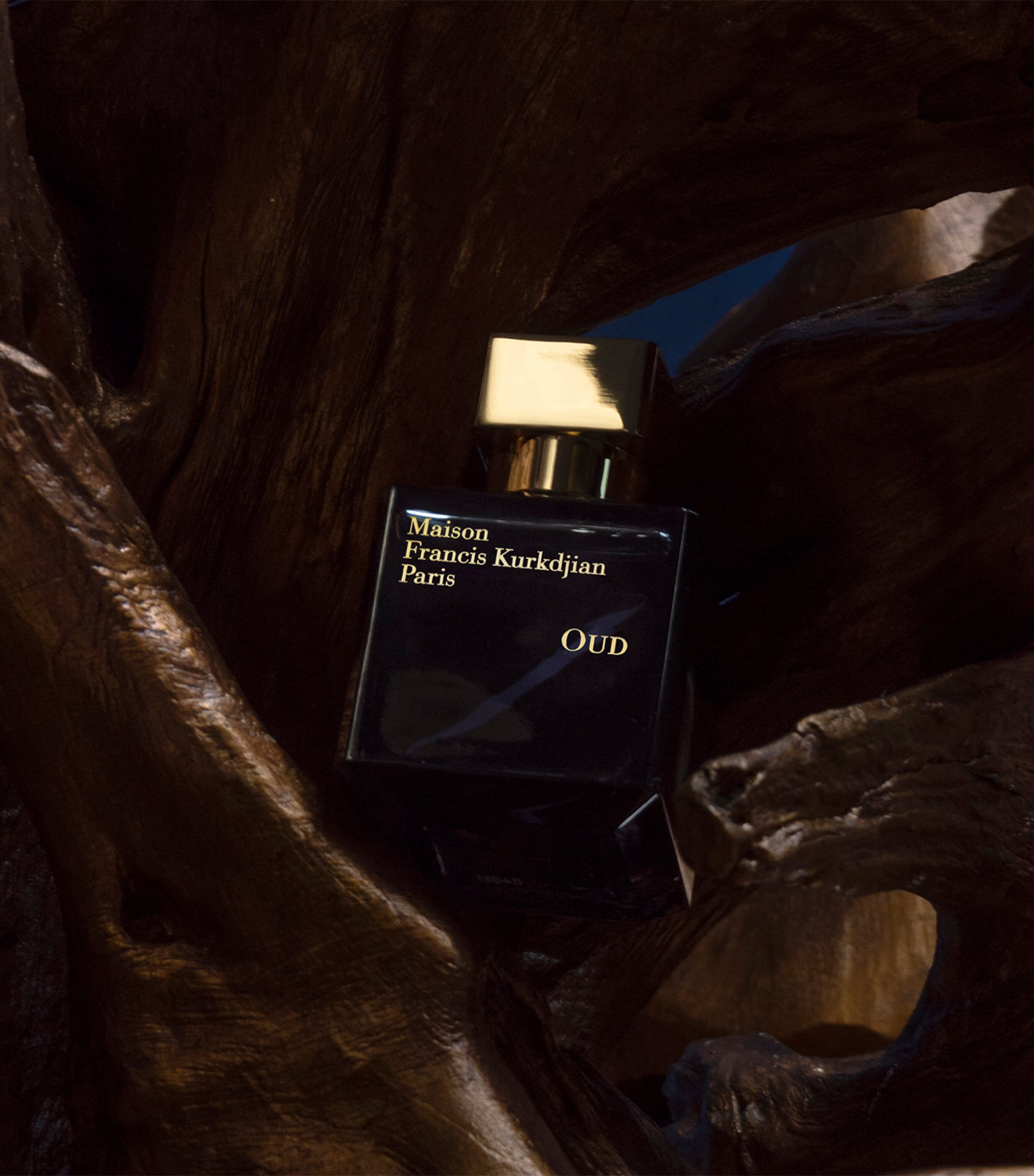 OUD Eau de Parfum (35ml) NO COLOUR Image 4