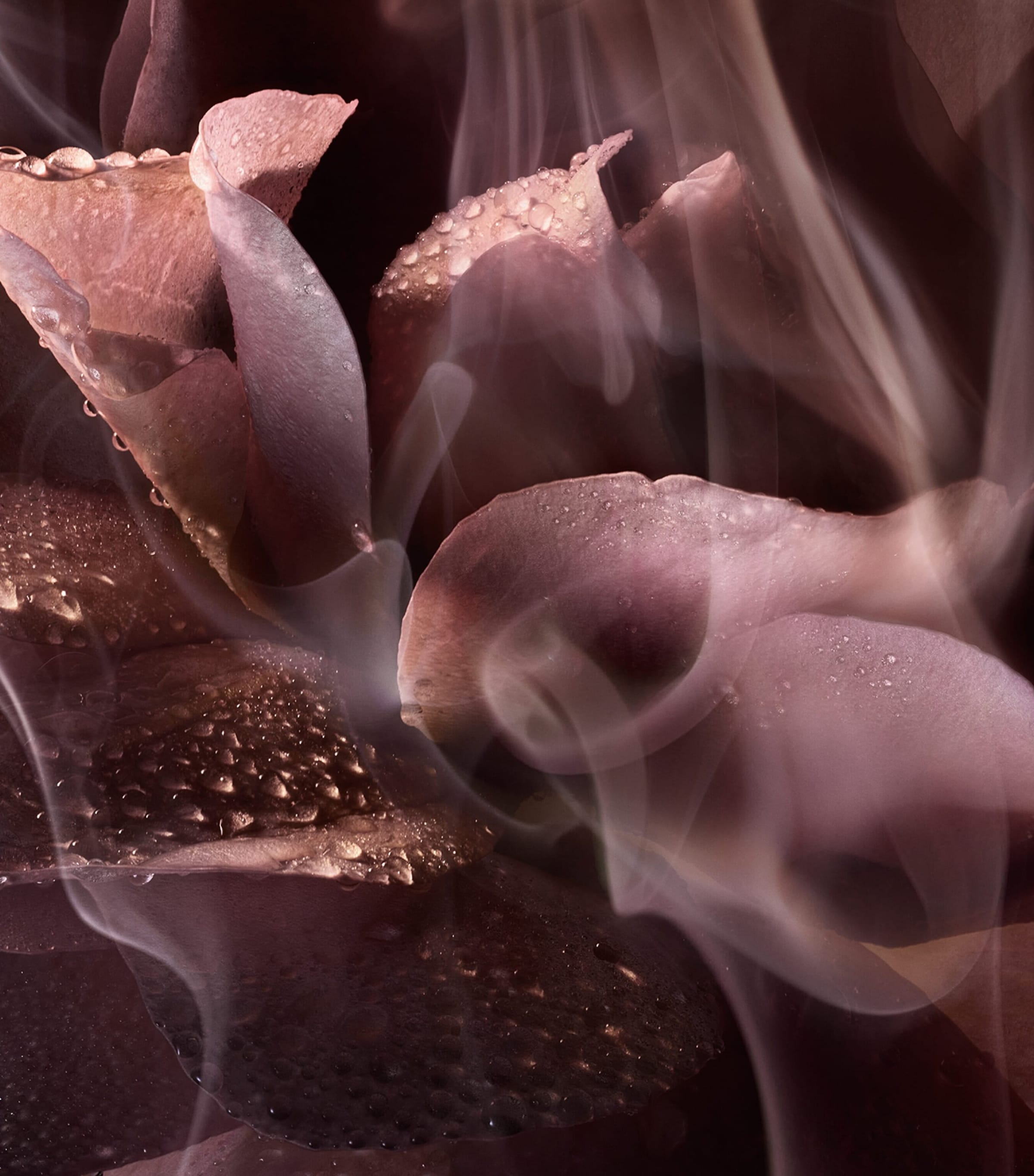 Absolue Rose Or Die Eau de Parfum (100ml) NO COLOUR Image 6