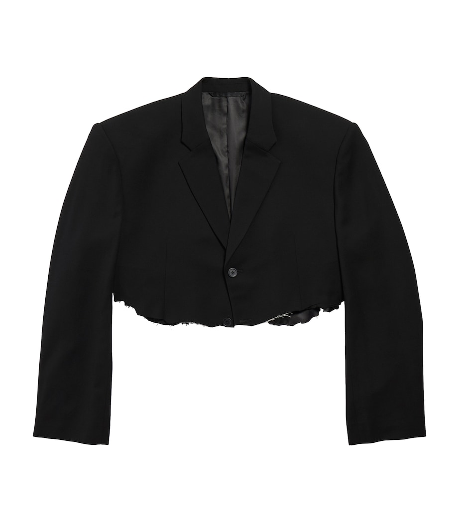 Cropped Blazer 1000 Image 1