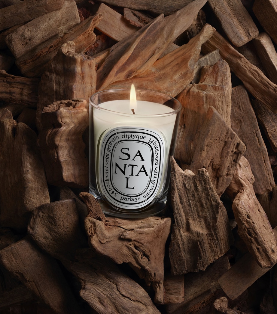 Diptyque Santal Candle (190g) Image 3