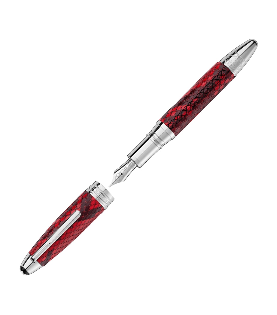 Platinum-Plated Leather Meisterstück Fountain Pen SILVER Image 3