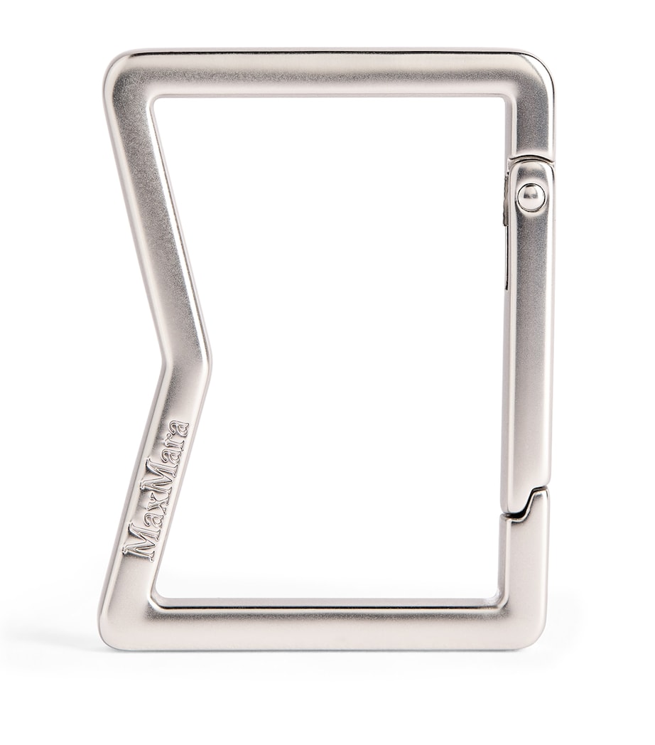 Engraved Logo Carabiner SILVER Image 1