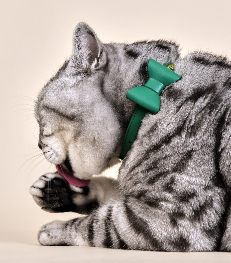 Small Leather Wonderland Cat Collar GREEN Image 3