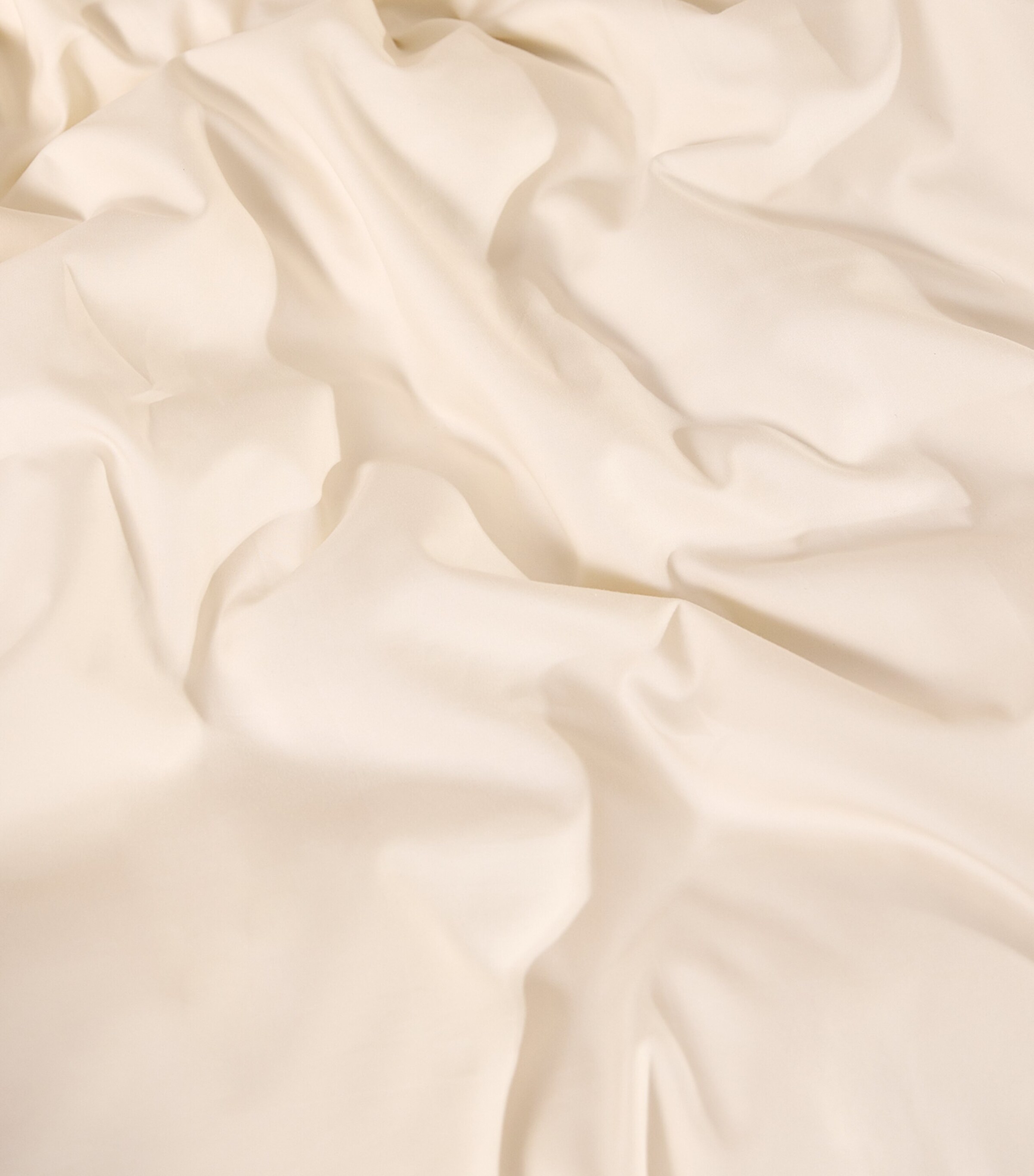 Harrods of London Chester Super King Fitted Sheet (200cm x 180cm) Ivory Image 8