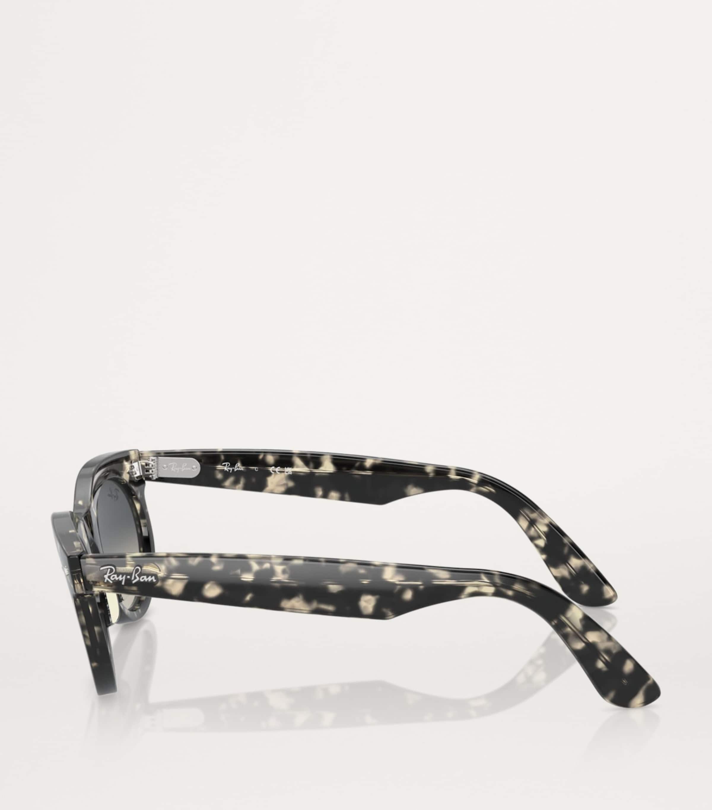 RB2242 Wayfarer Oval Sunglasses 133371 Image 3