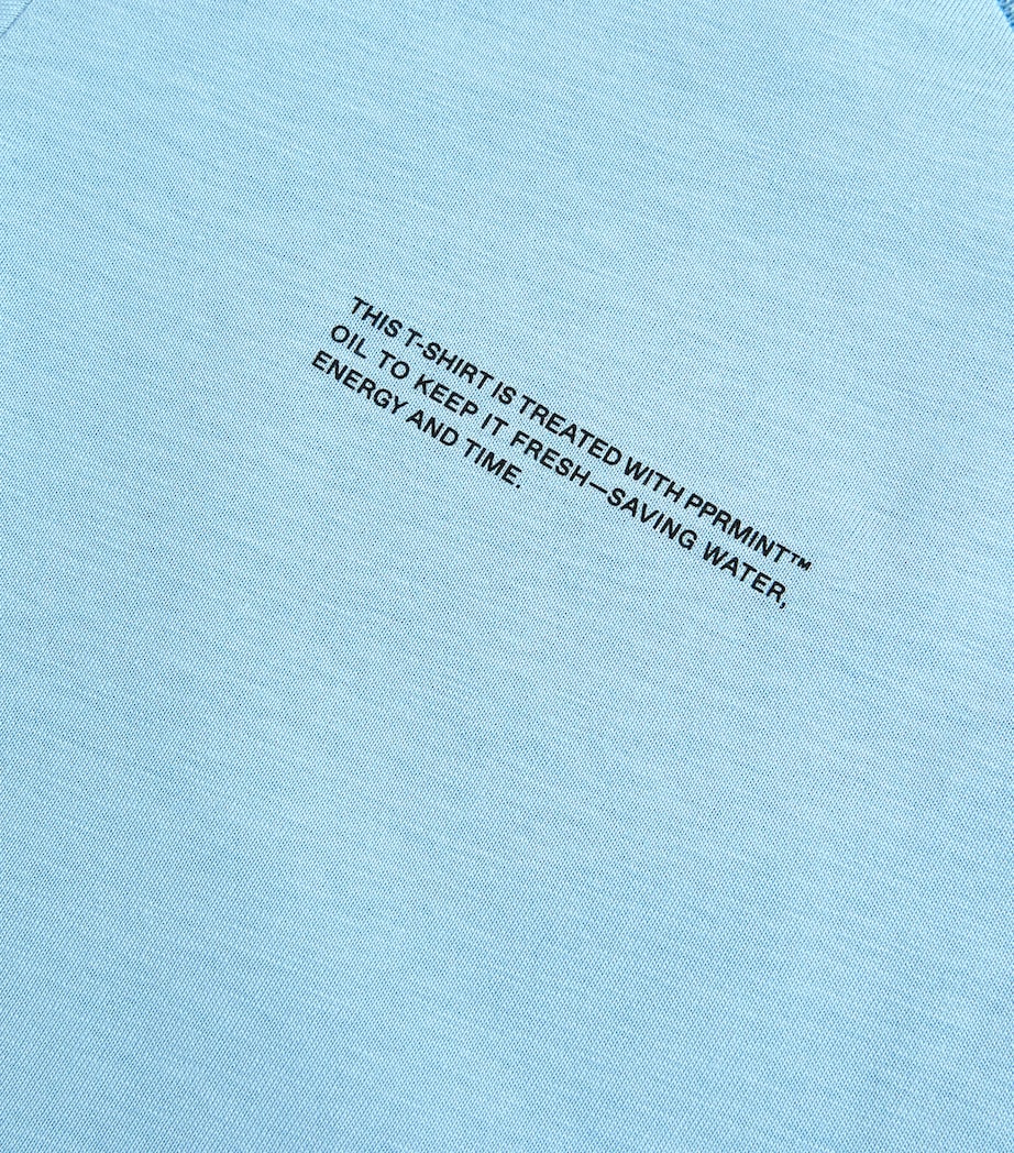 Organic Cotton Pprmint T-Shirt (3-11 Years) CELESTIAL BLUE Image 3