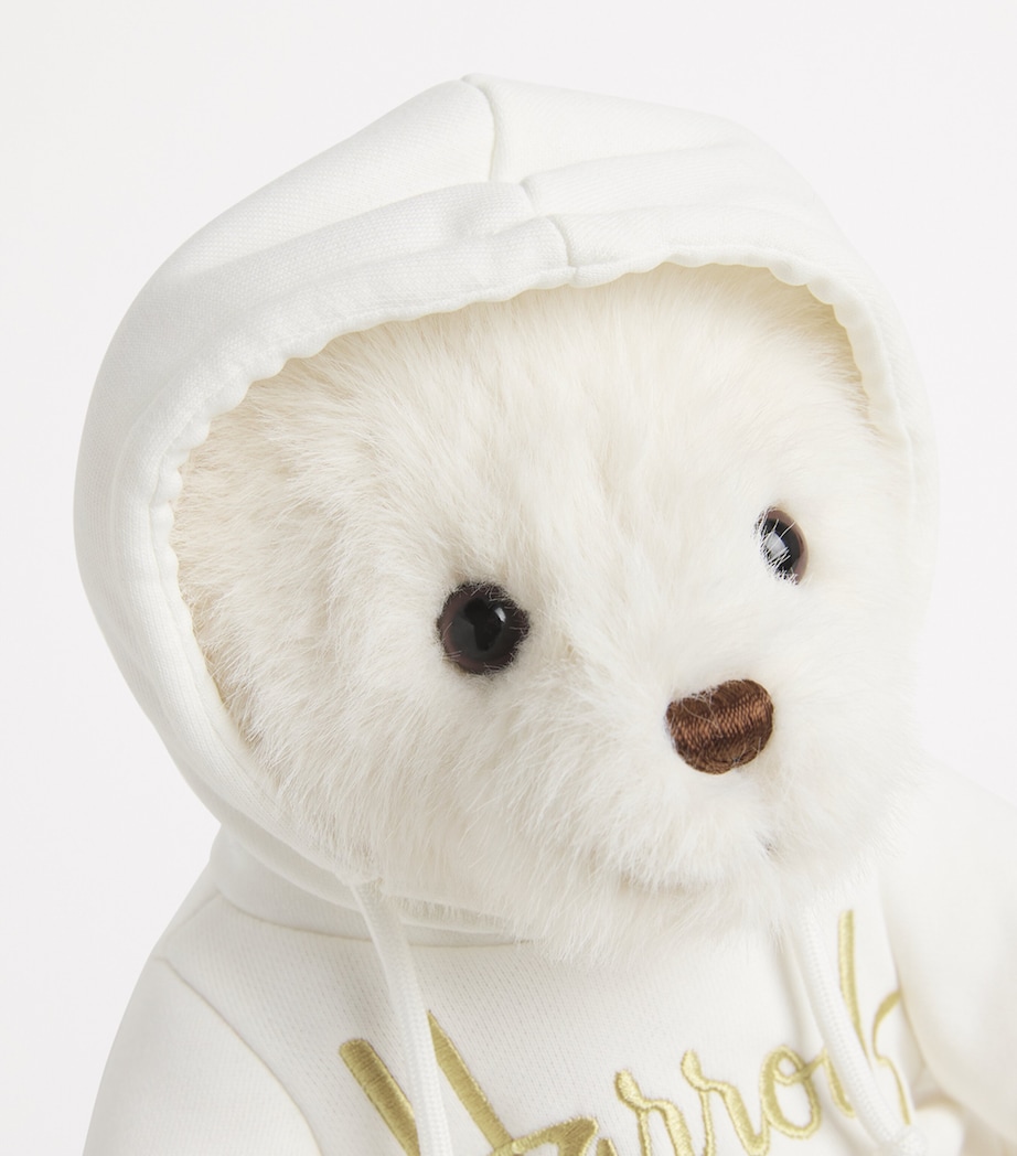 Henry Bear (29cm) MULTI Image 3