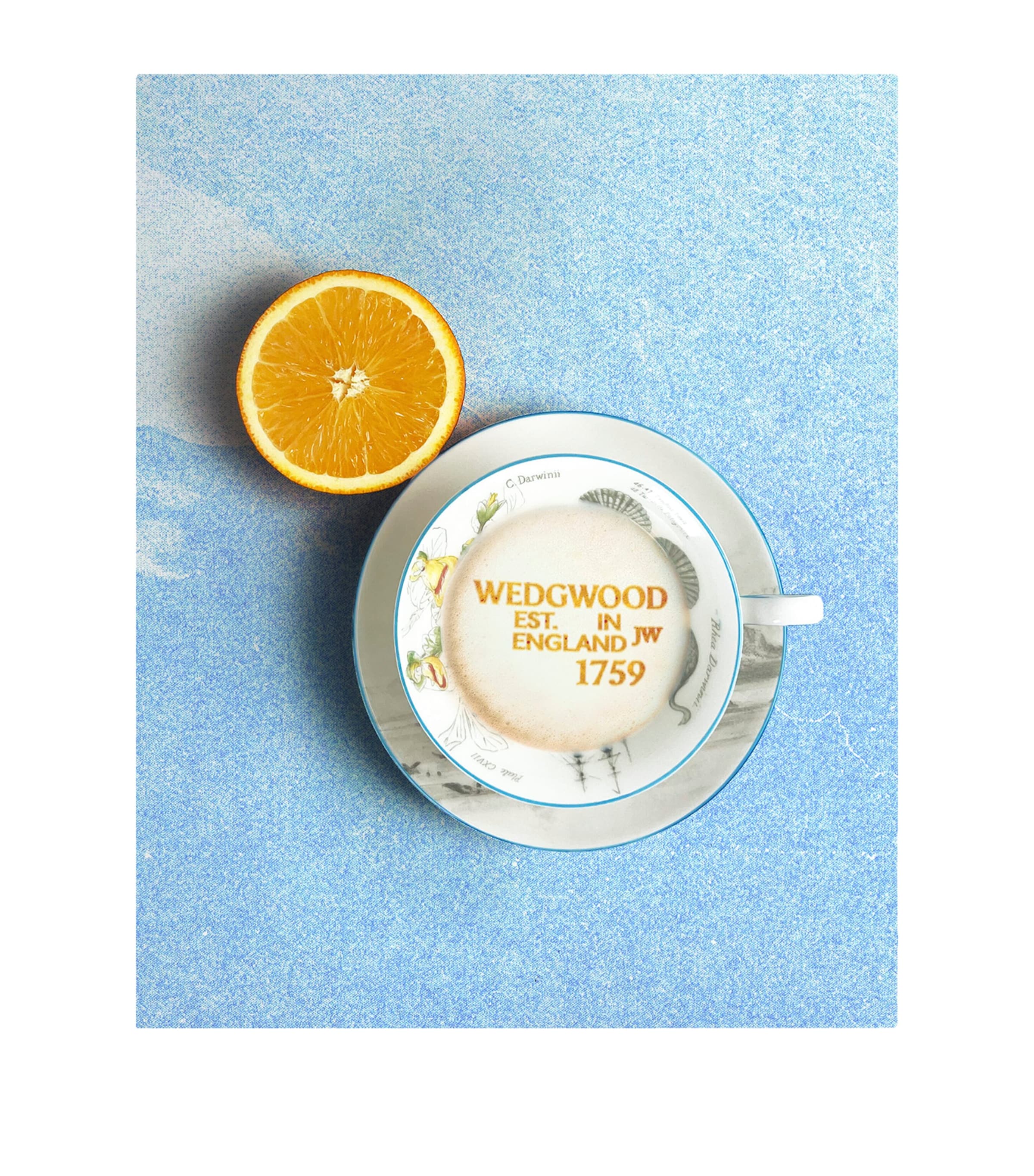 Voyage of the Beagle Brazil Plate, Teacup and Saucer Set MULTI Image 2