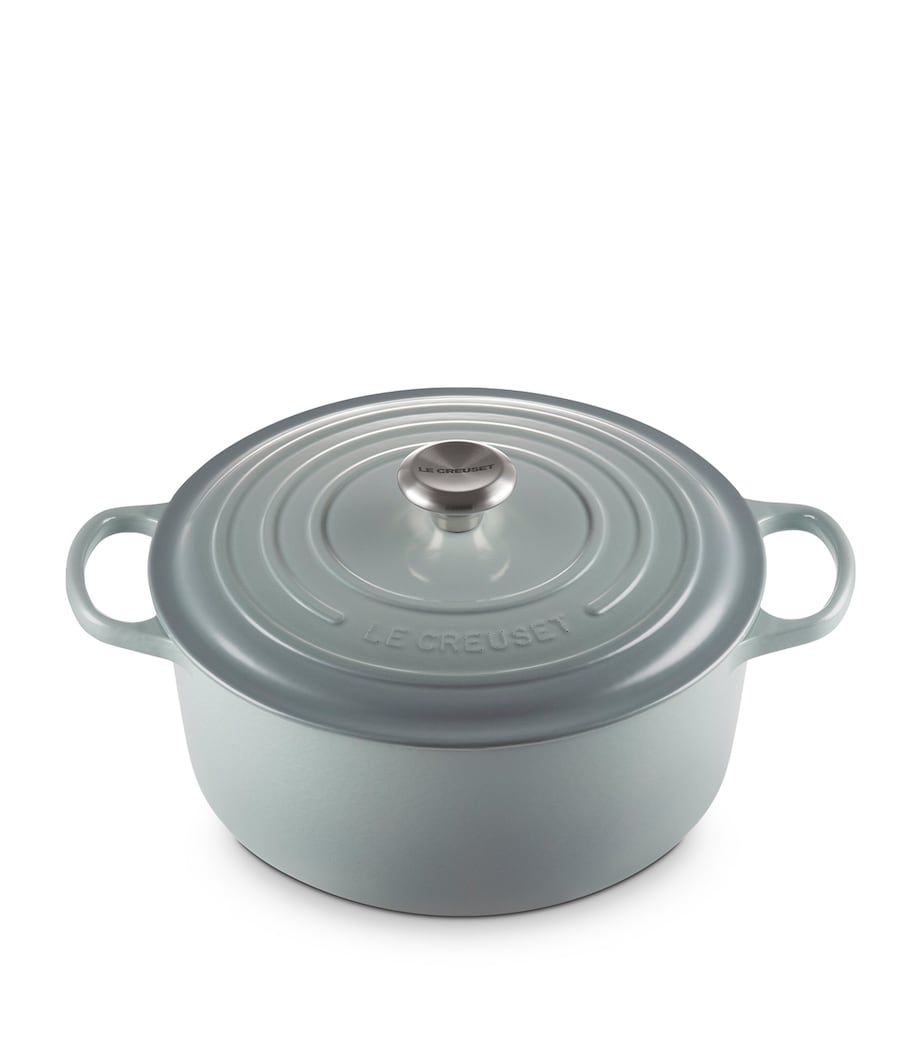 Le Creuset Cast Iron Round Casserole Dish (28cm) Sea Salt Image 1