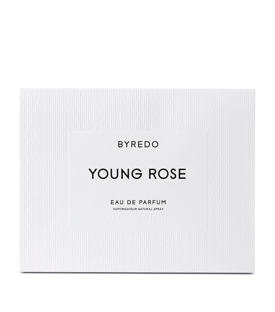 Young Rose Eau de Parfum (100ml) NO COLOUR Image 2