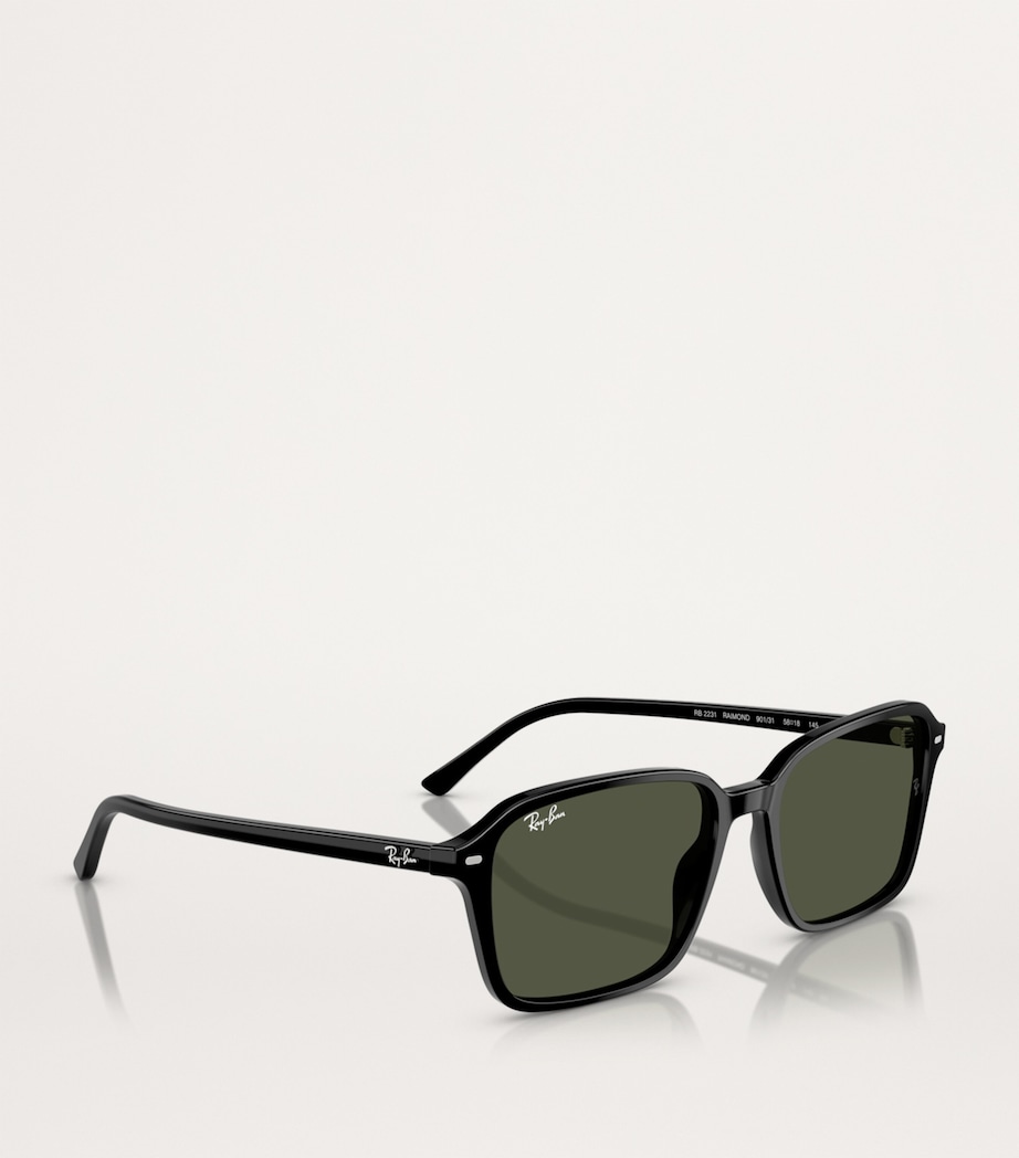 RB2231 Raimond Sunglasses 901/31 Image 6