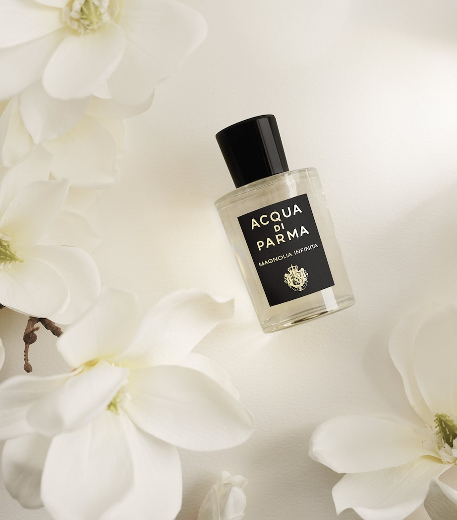 Signatures of the Sun Magnolia Infinita Eau de Parfum (100ml) NO COLOUR Image 4
