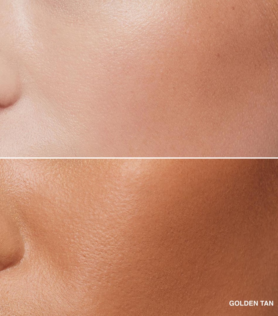 Bronzing Powder GOLDEN TAN Image 3