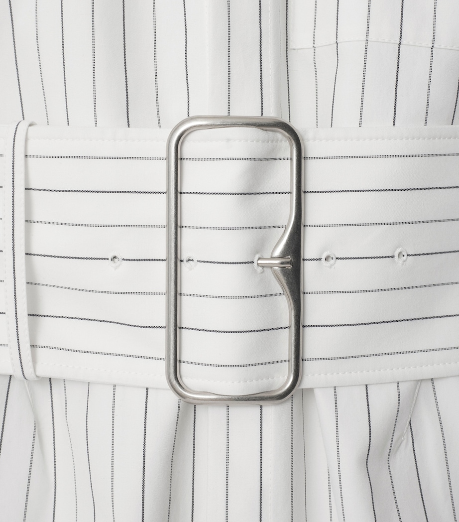 Cotton Stripe Belted Shirt STRING/COAL Image 5