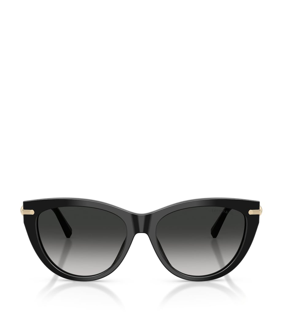 Tiffany & Co. Acetate Cat Eye TF4253 Sunglasses Image 1
