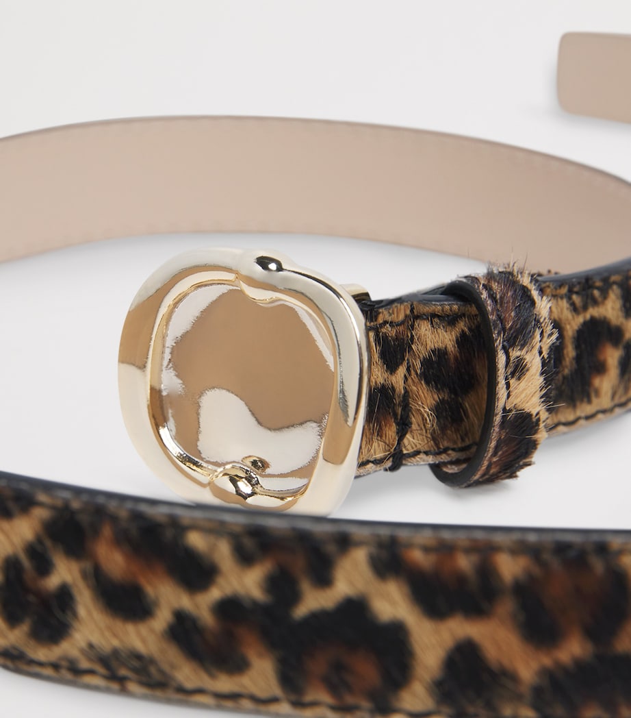 Leopard Belt MULTICOLORED Image 5