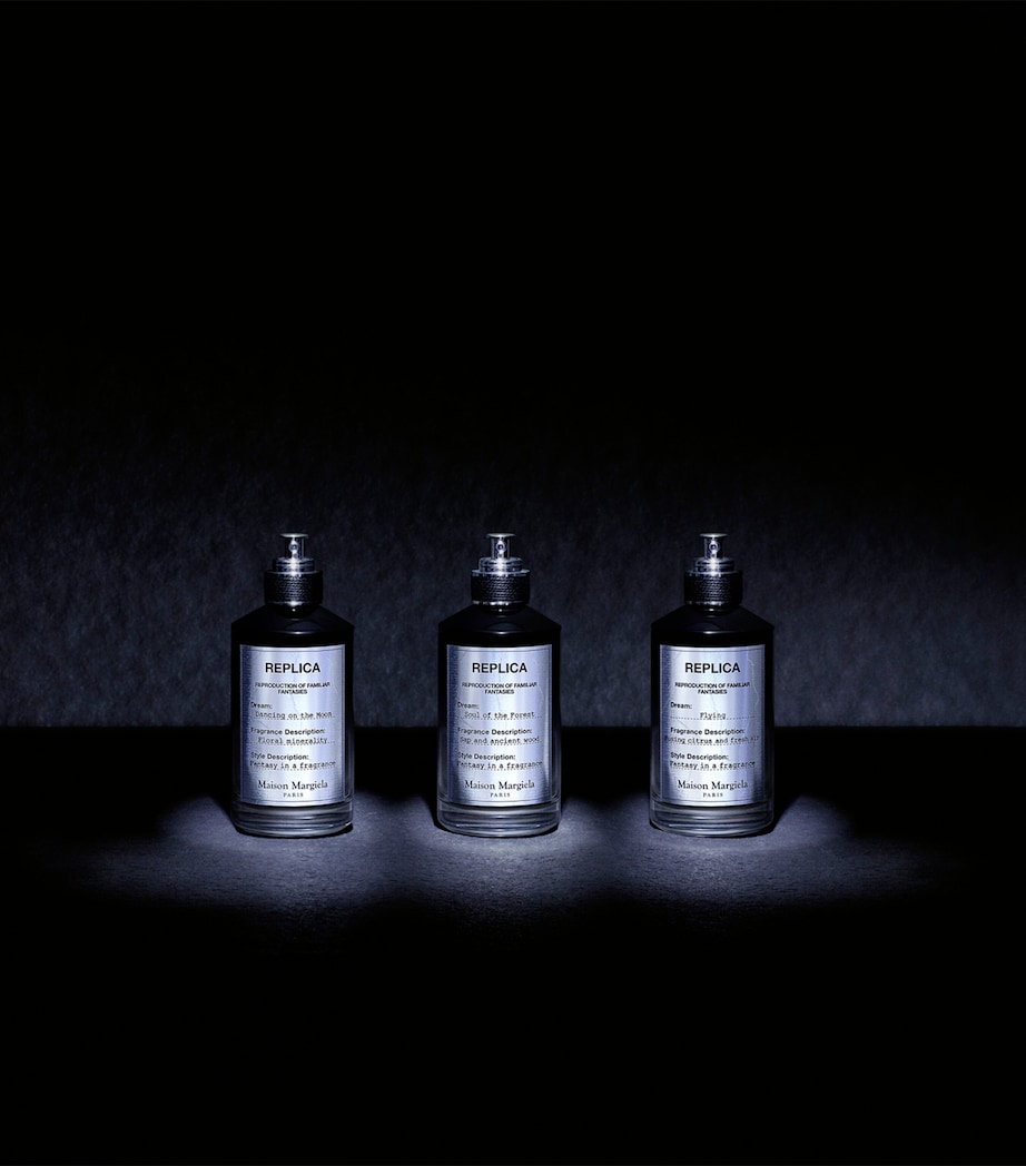 Replica Celestial Whispers Eau de Parfum (100ml) NO COLOUR Image 7