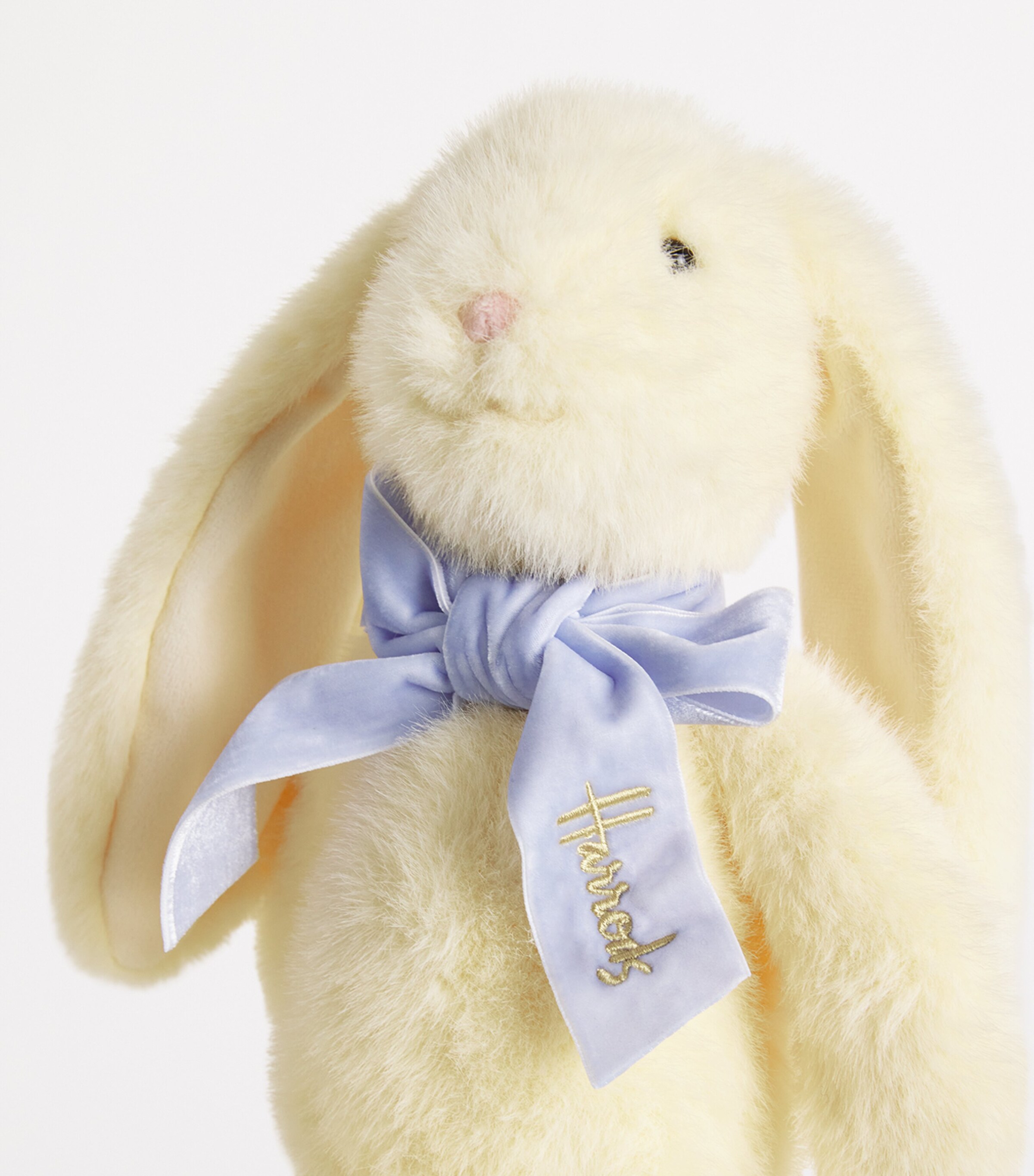 bow tie bunny