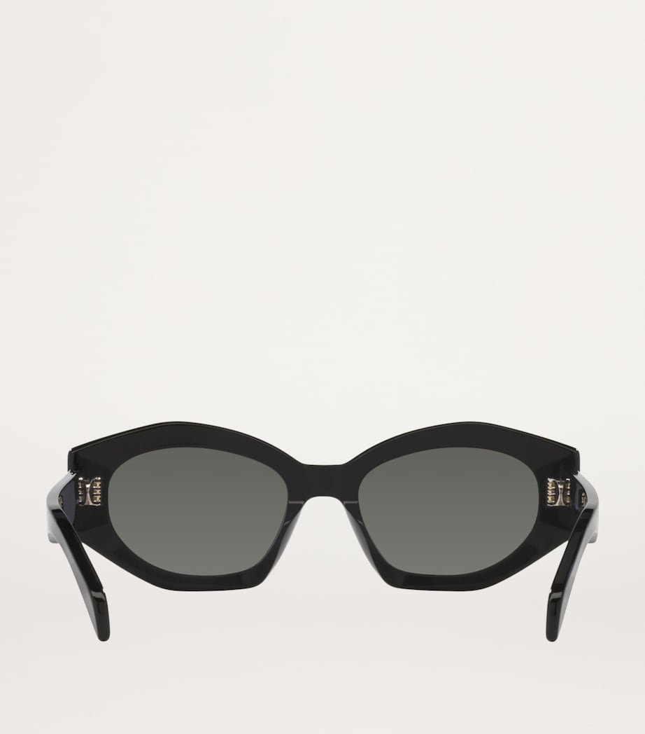 Celine Acetate 0CL000380 Sunglasses Image 4