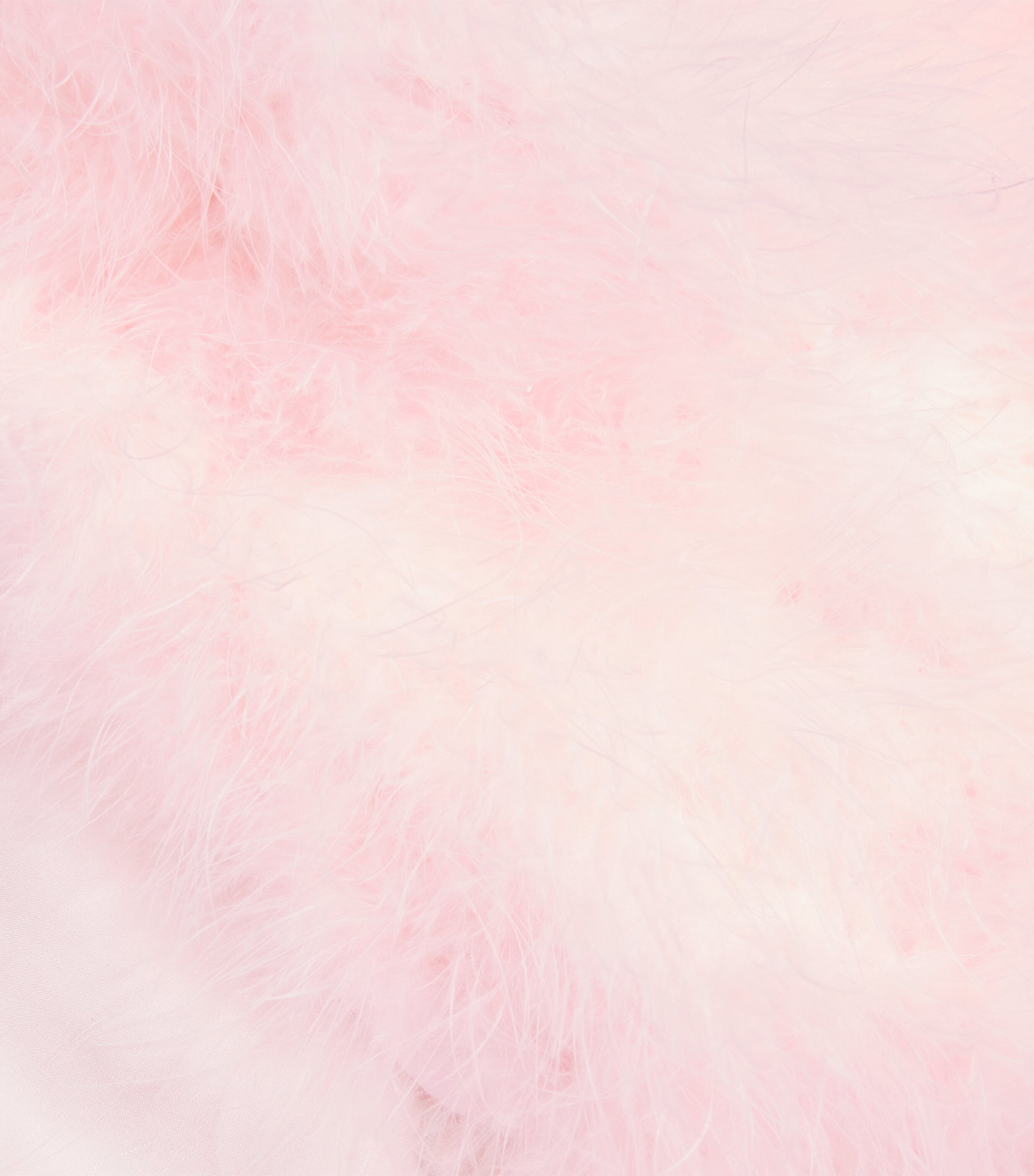 Feather Bolero Jacket A5046 Image 5