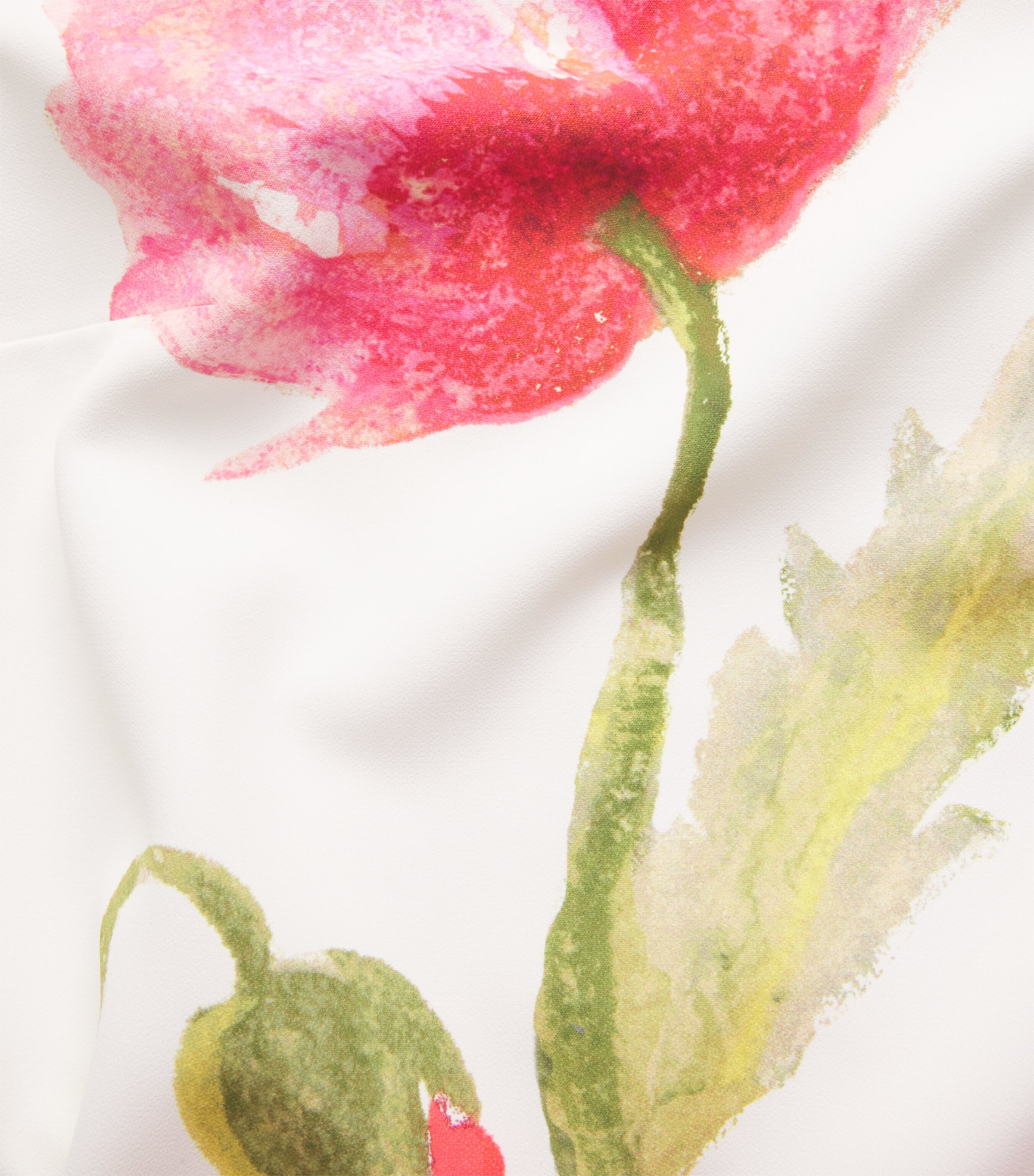 Poppy Print Midi Dress 101 WHITE MULTI Image 5