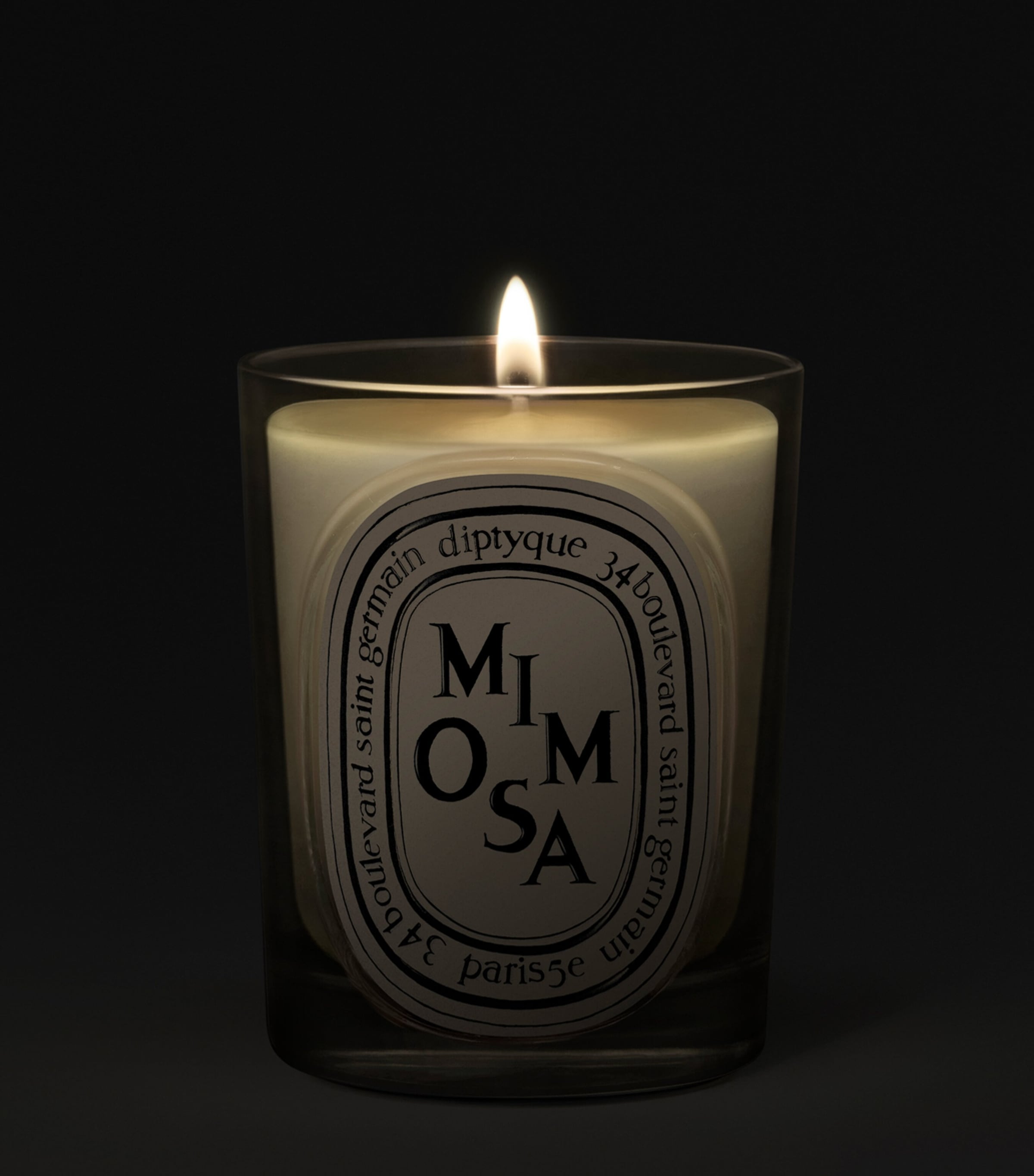 Diptyque Mimosa Candle (190g) Image 2