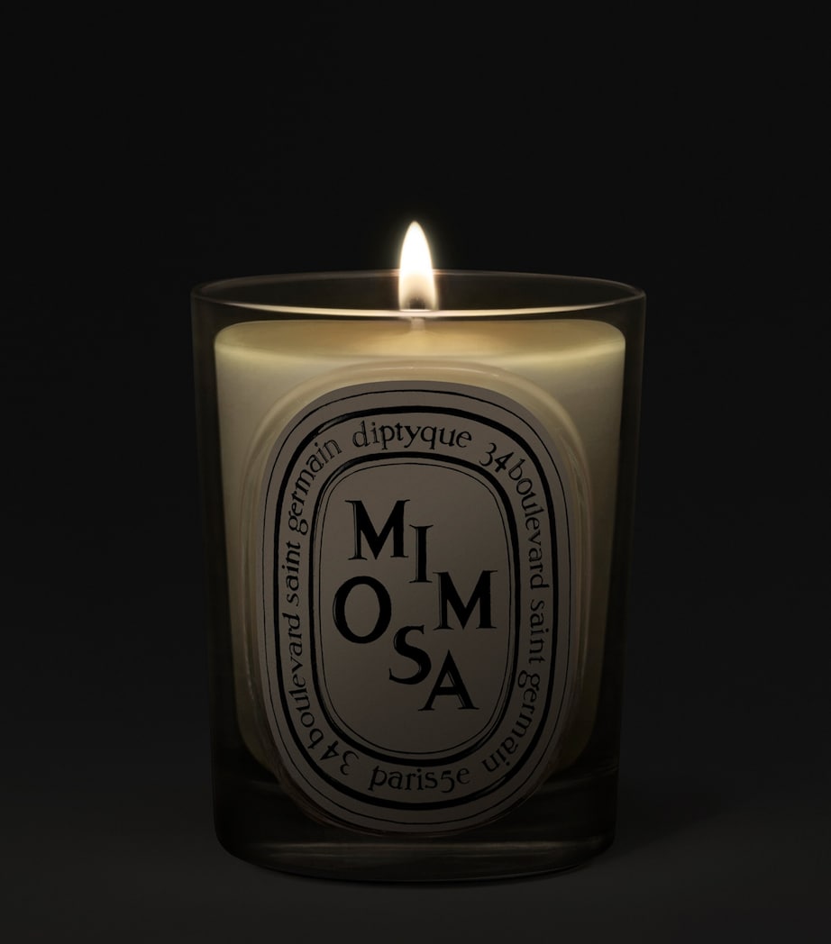 Diptyque Mimosa Candle (190g) Image 2