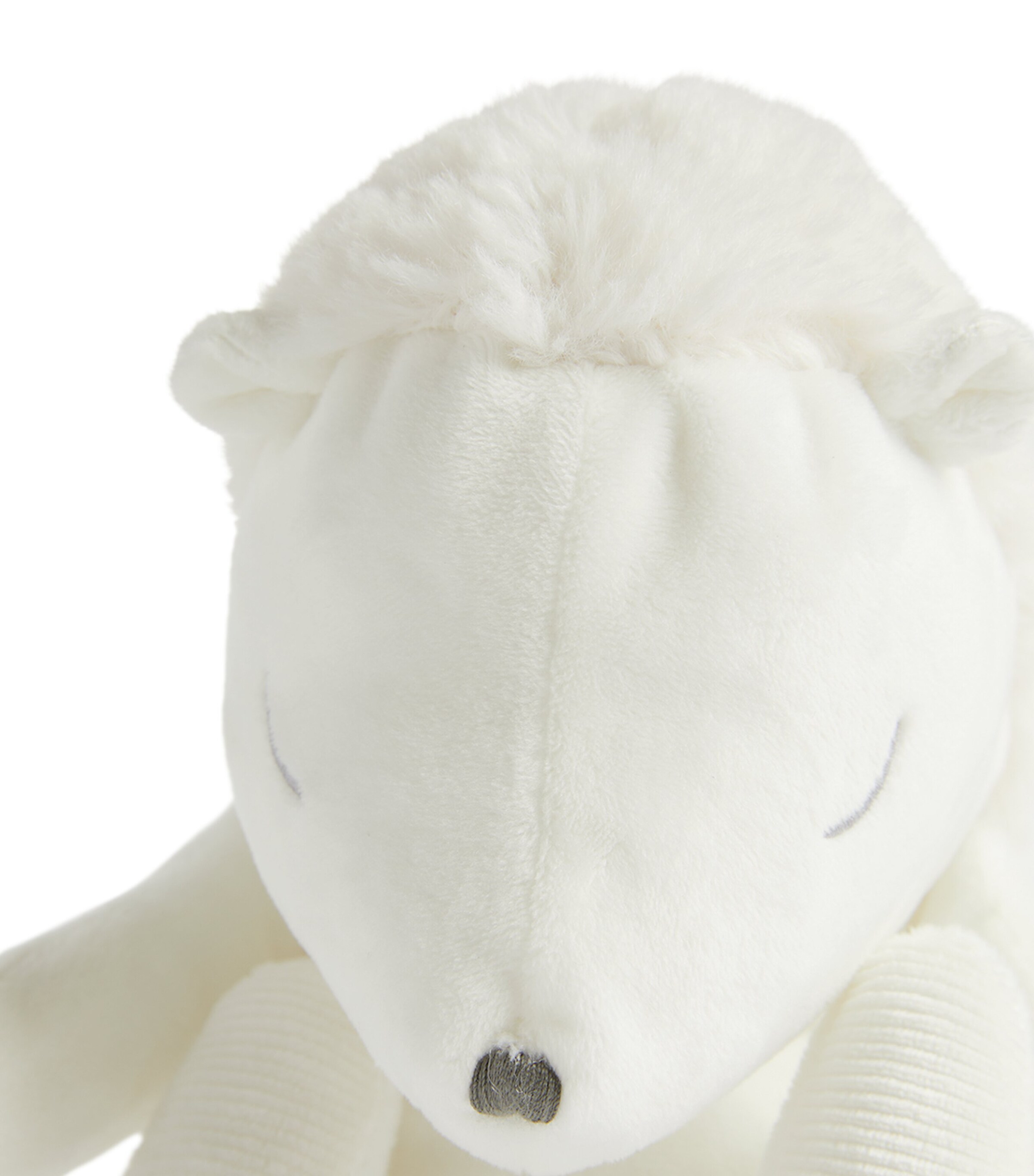 Leon The Hedgehog (25cm) CRAIE Image 3