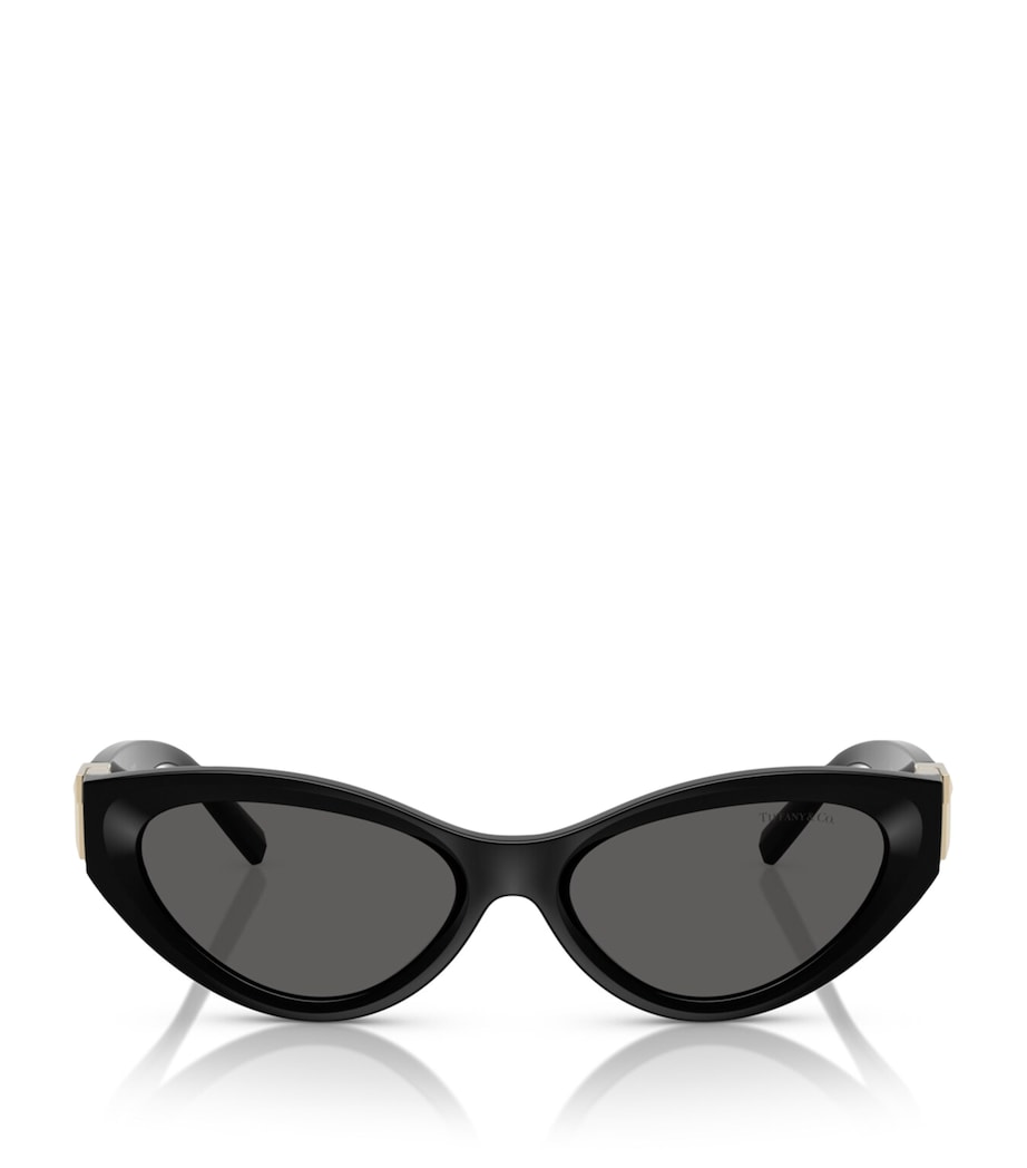 Acetate Cat-Eye Sunglasses 8001S4 Image 1