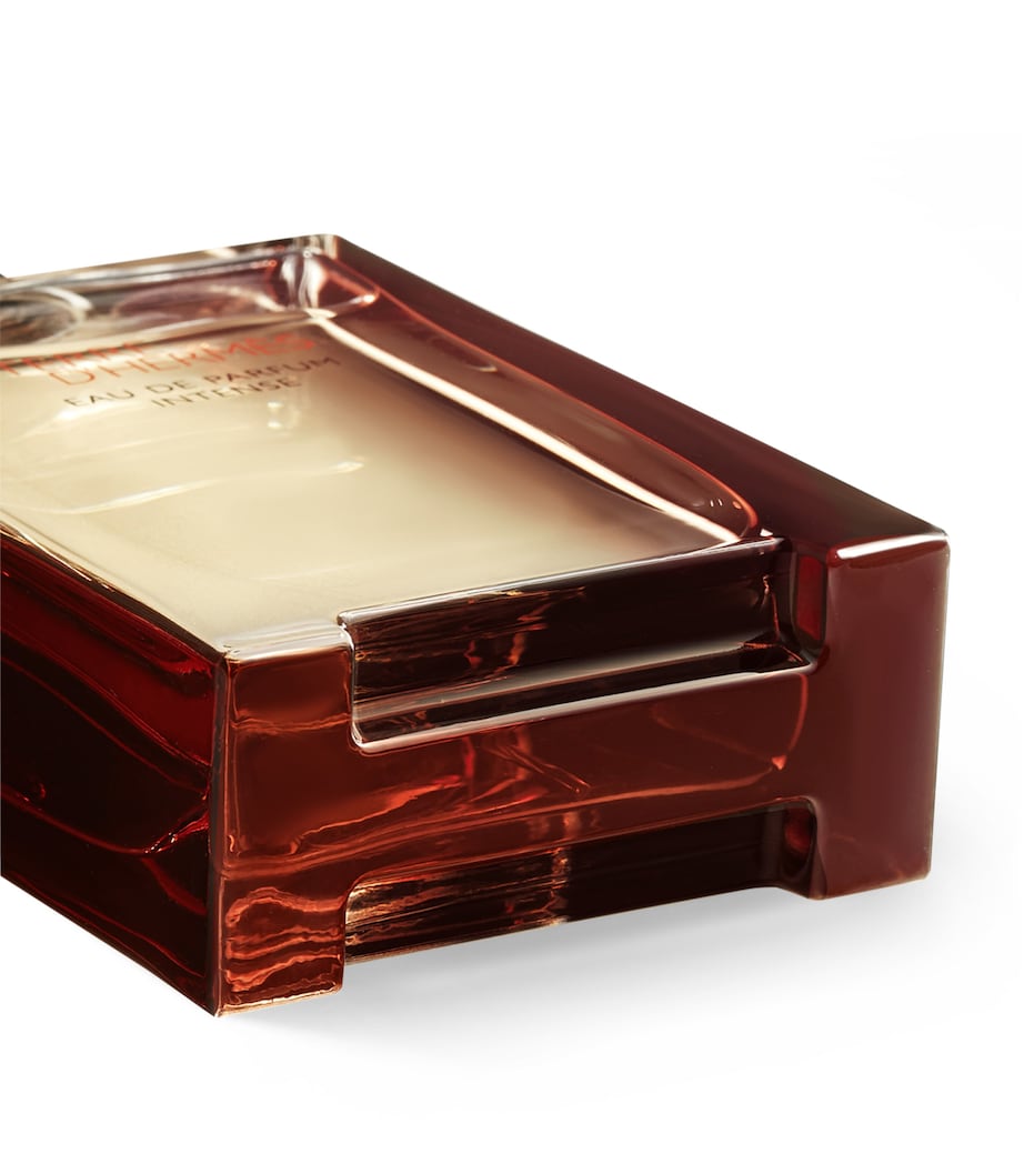 Terre d’Hermès Eau de Parfum Intense (50ml) NO COLOUR Image 4