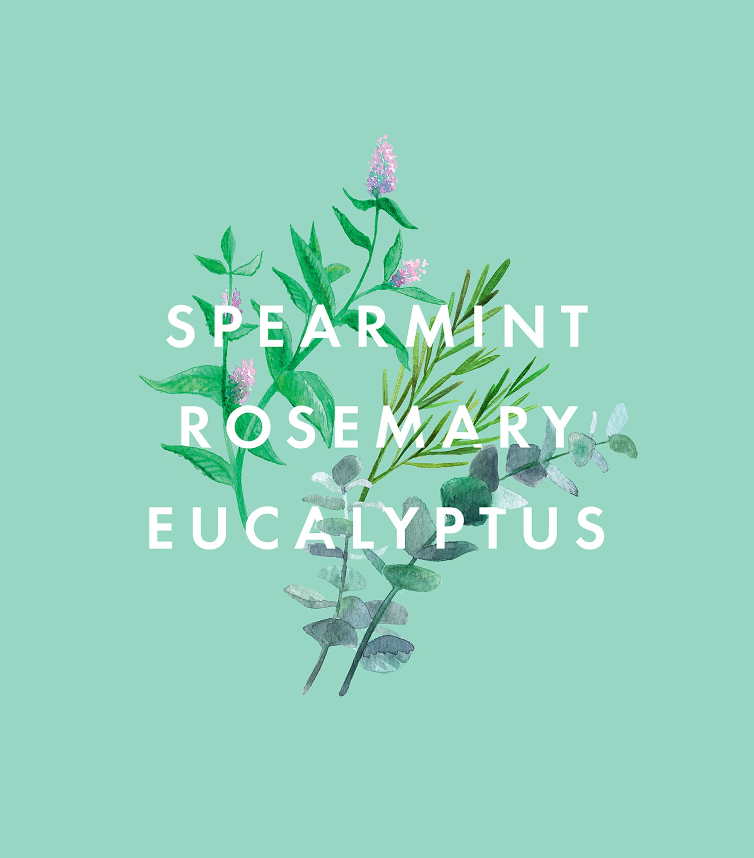 Super Shower Power Body Cleanser (500ml) NO COLOUR Image 6