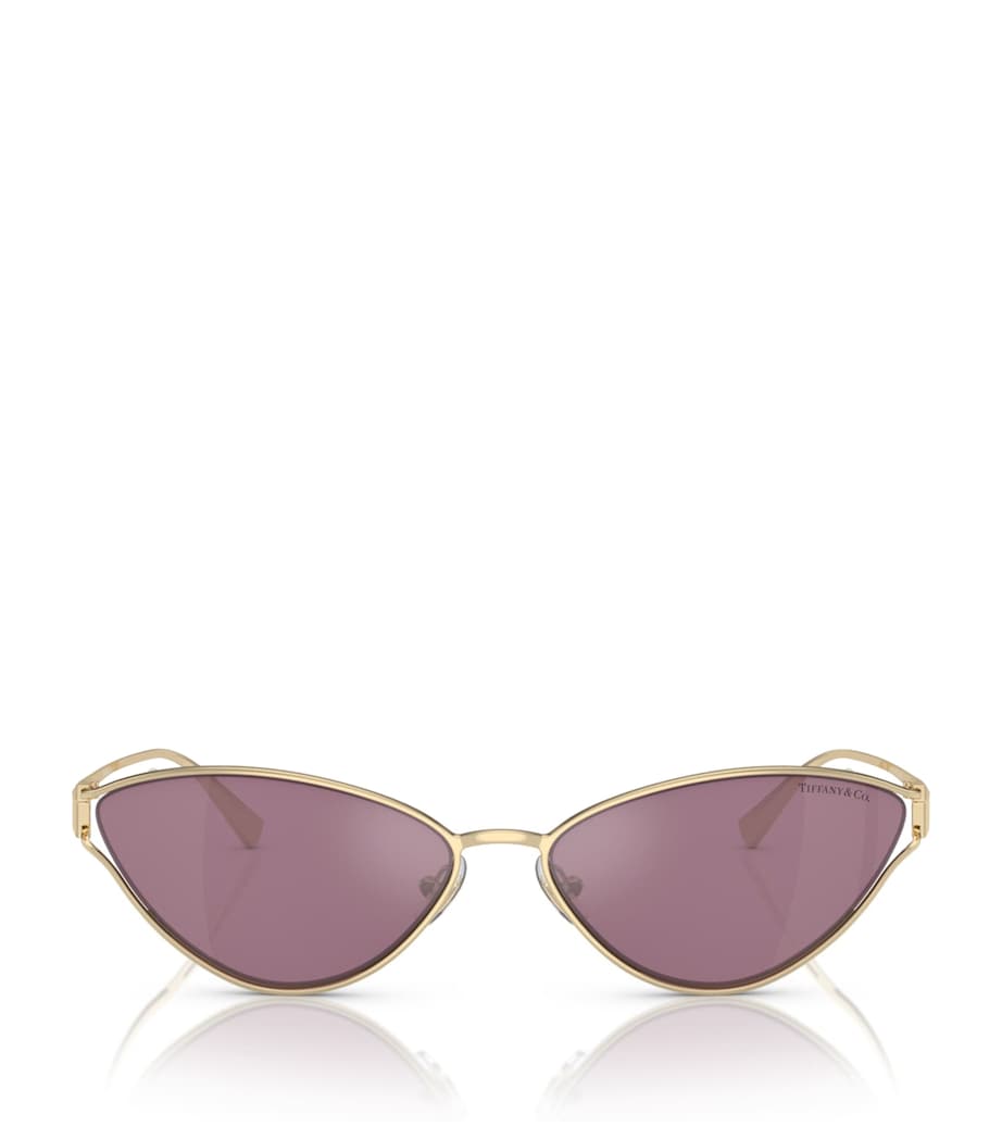 Metal Cat Eye Sunglasses 6194AK Image 1