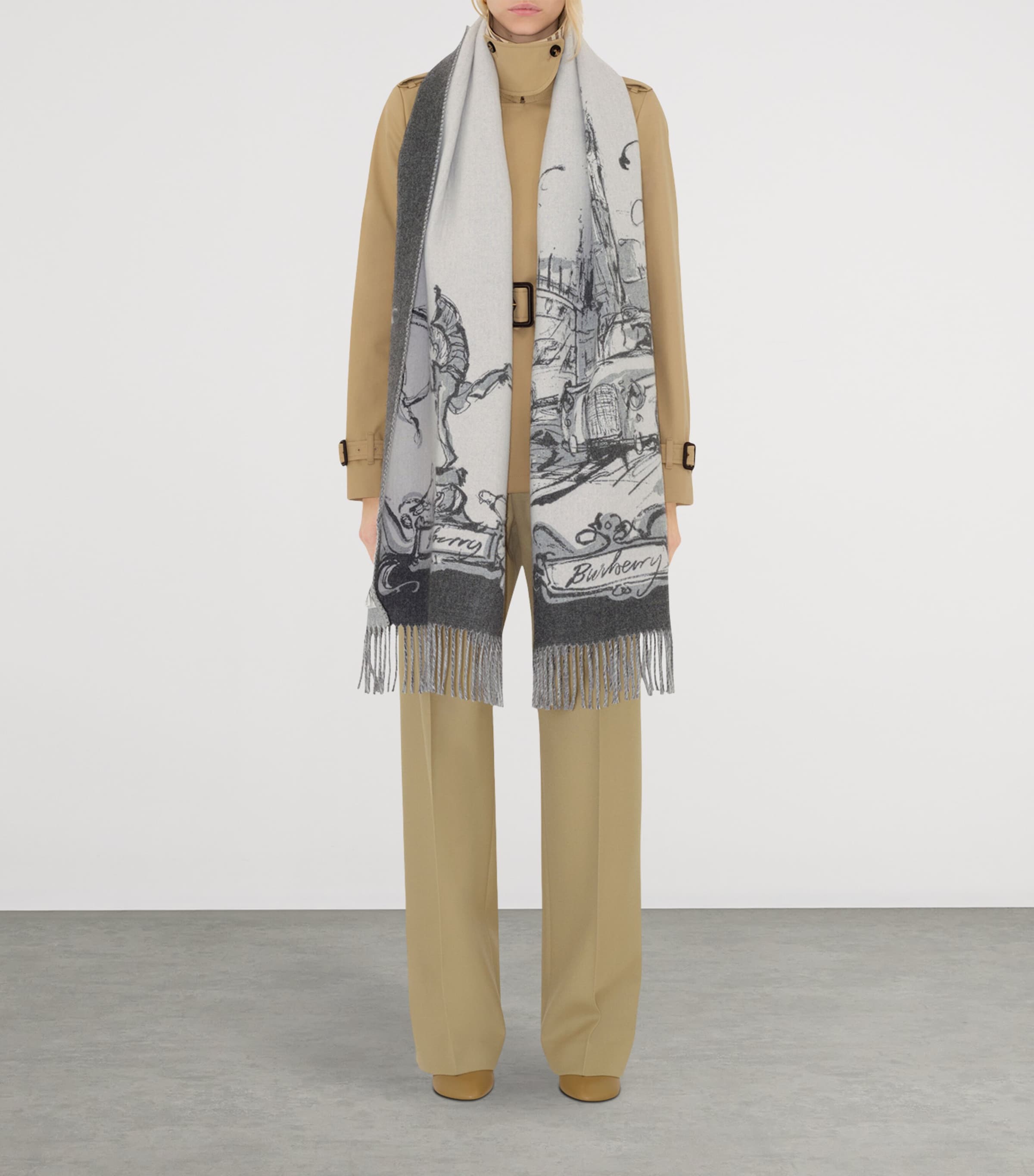 Cashmere Westminster Scarf WISP Image 4