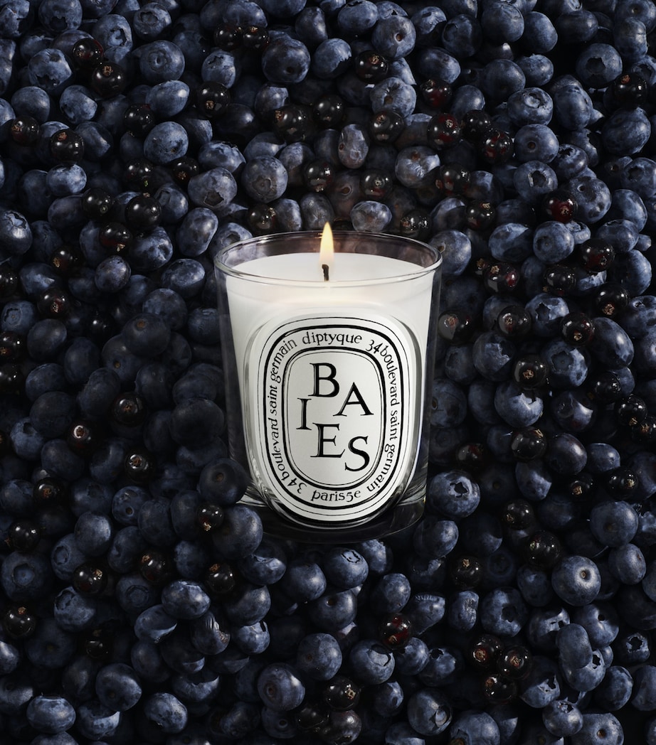 Diptyque Baies Candle (190g) Image 3
