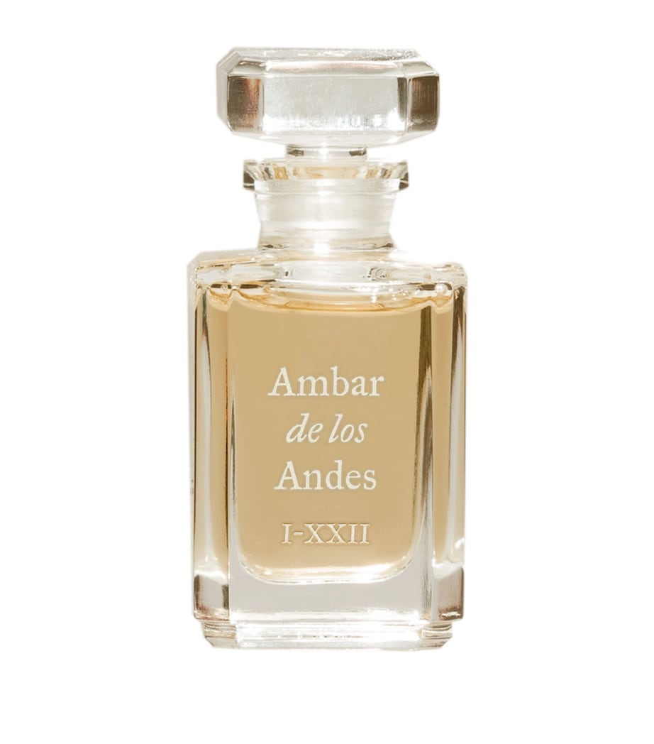 Fueguia 1833 Ámbar de los Andes Perfume Oil (8ml) Image 1