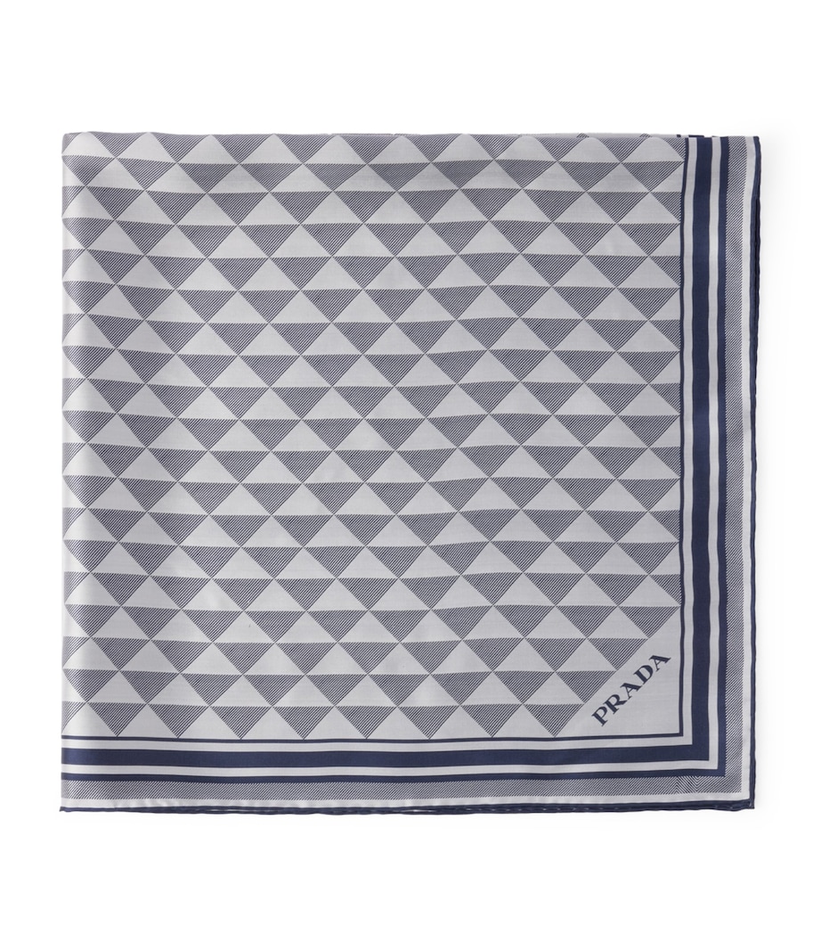 Silk Triangle Scarf F0HDT Image 1