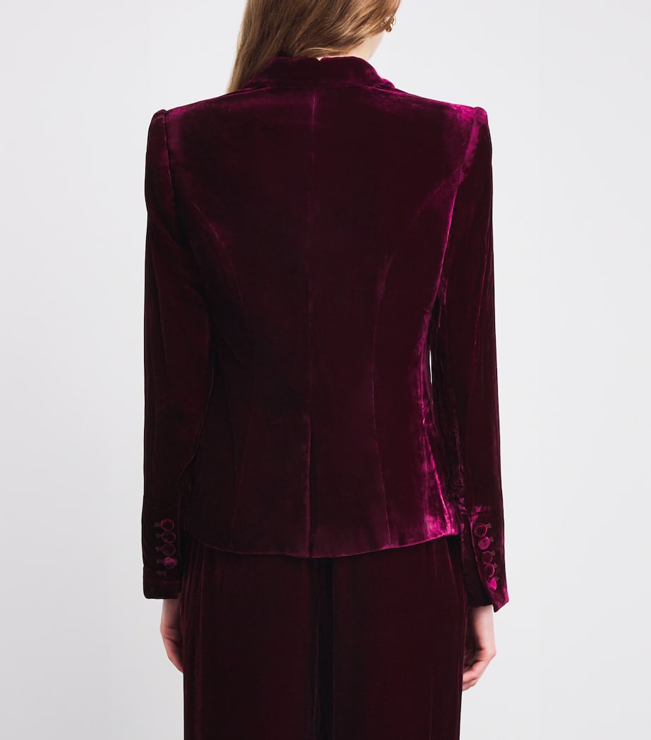 Velvet Marie Double-Breasted Blazer DARK PORT DKPO Image 4