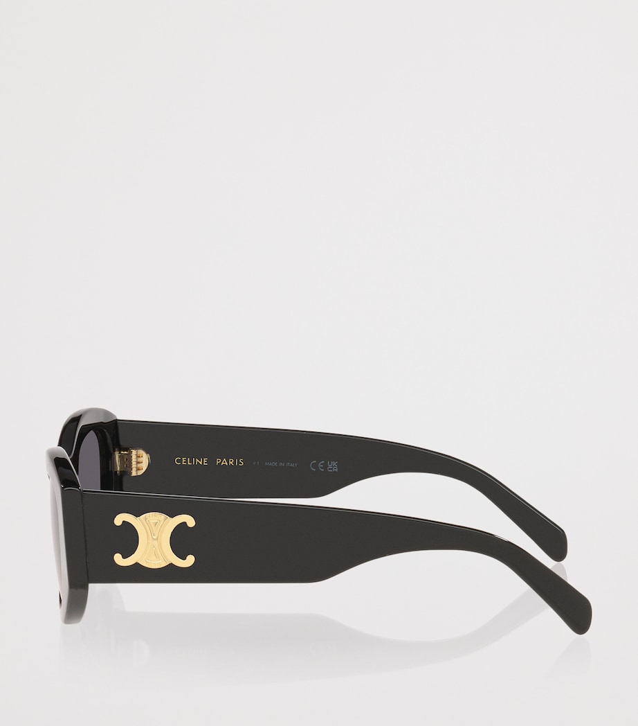 Celine Triomphe Sunglasses Image 3