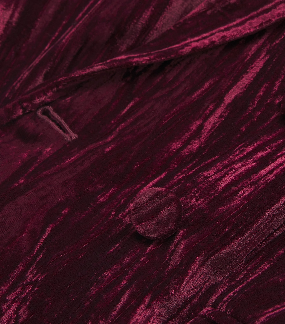 Velvet Aimee Oversized Blazer DARK PORT VELVET Image 5