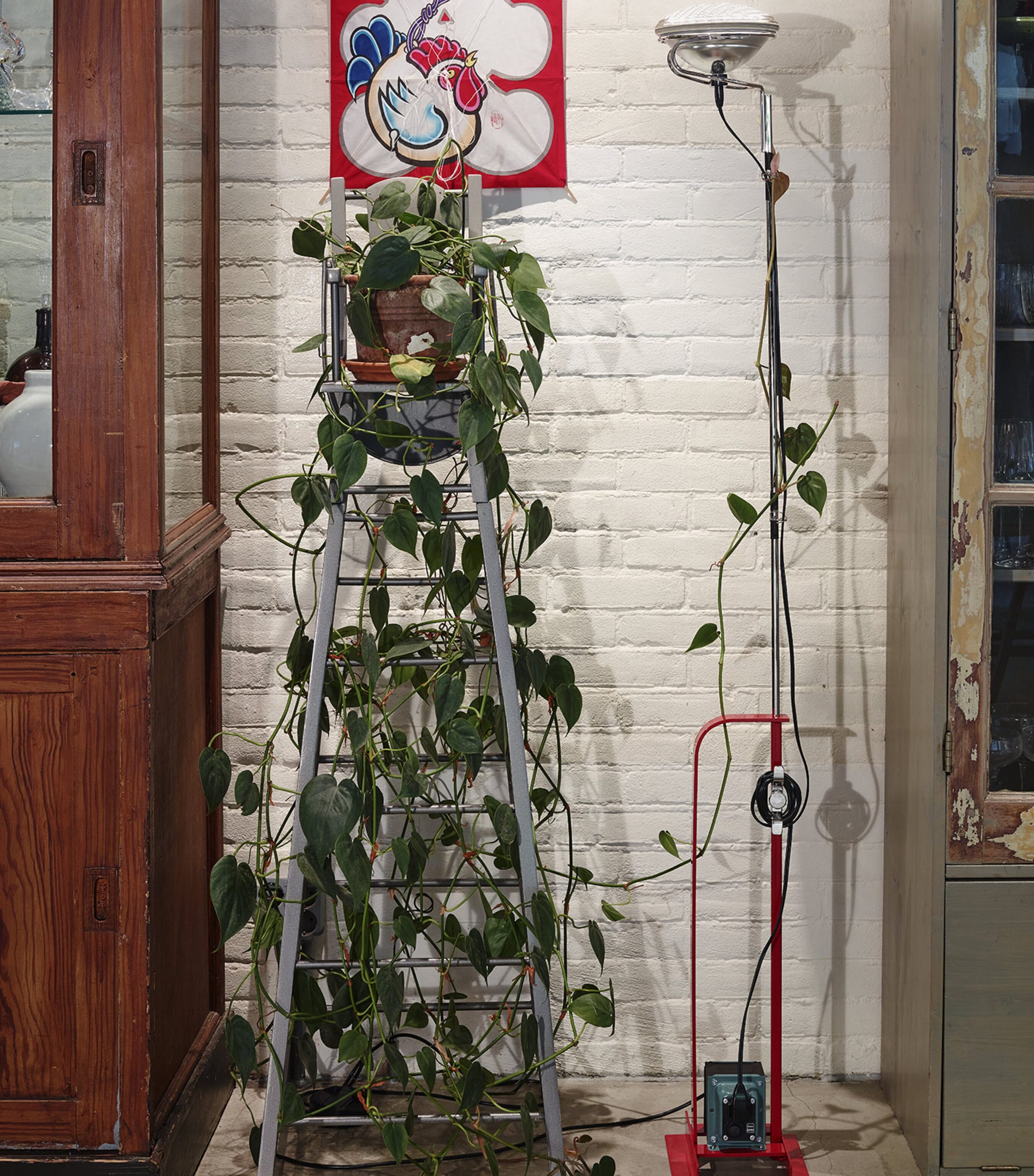 Flos Metal Toio Floor Lamp Image 2