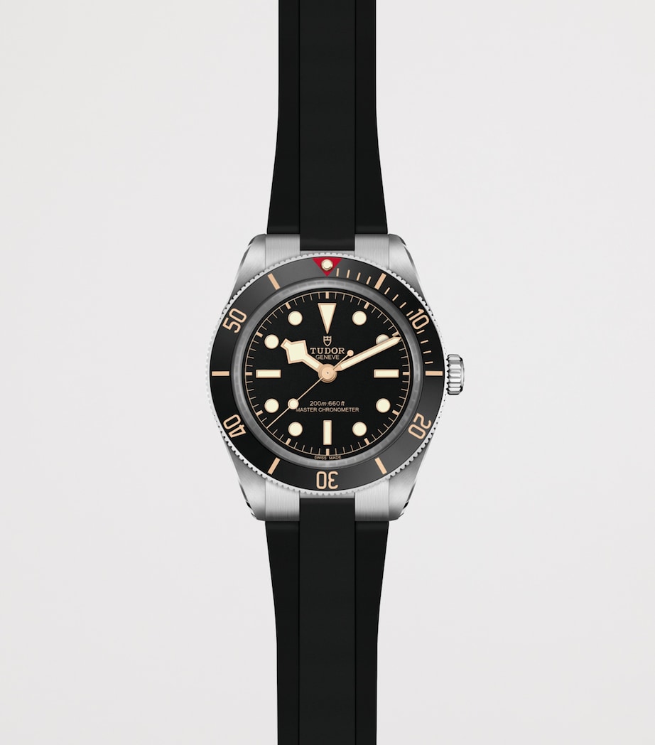 TUDOR Black Bay 58 GMT Stainless Steel Watch 39mm Black Image 2