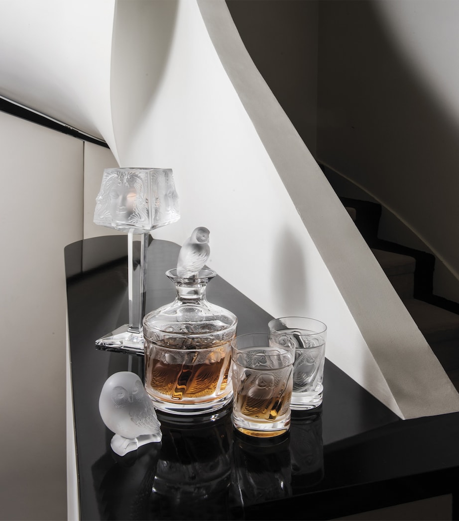 Owl Whisky Tumbler (200ml) INCOLORE Image 2