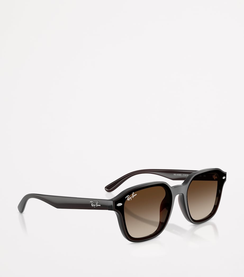 RB4458D Square Sunglasses 714/13 Image 6
