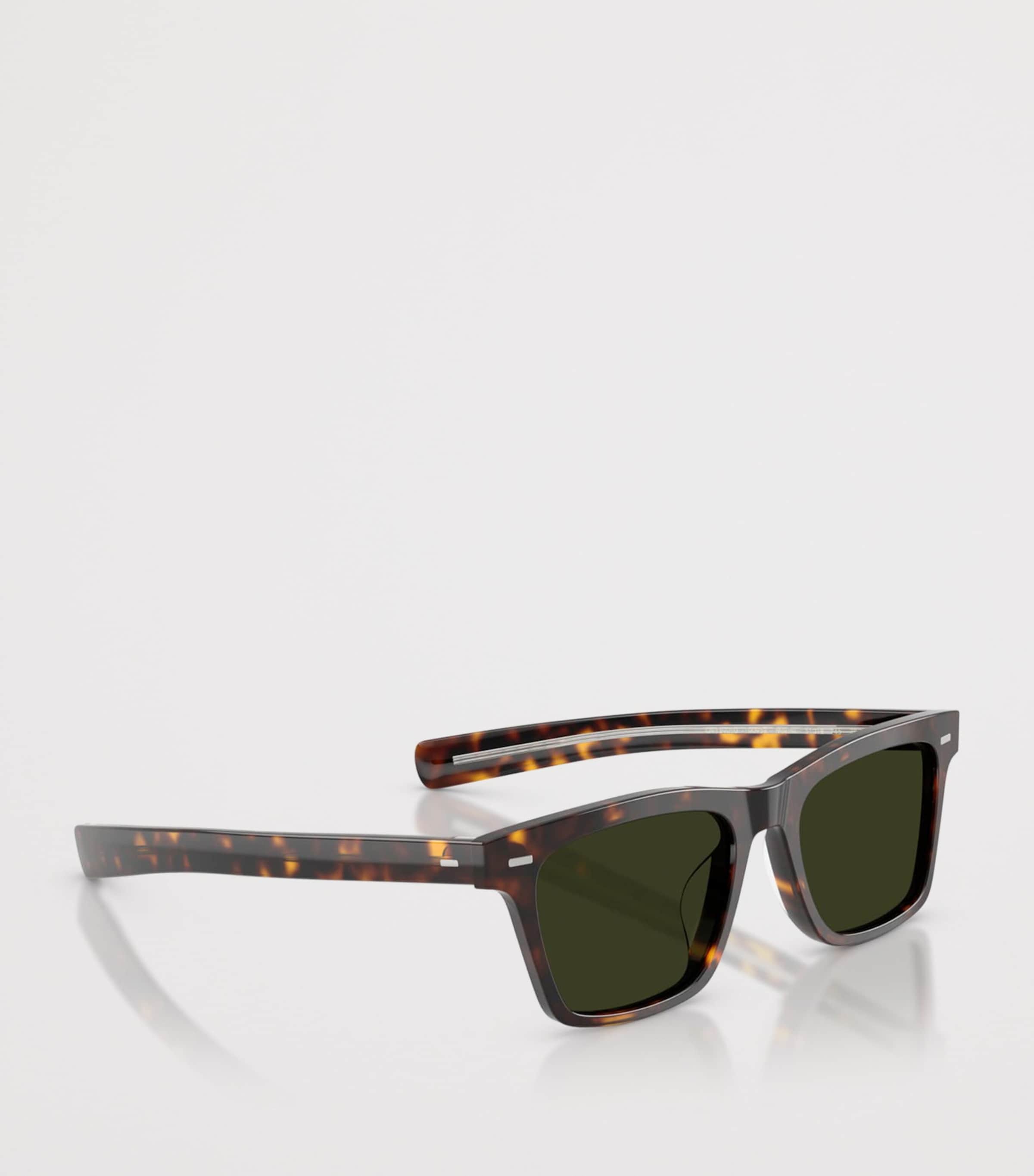 Oliver Peoples Acetate Maestro Pillow Sunglasses Image 6