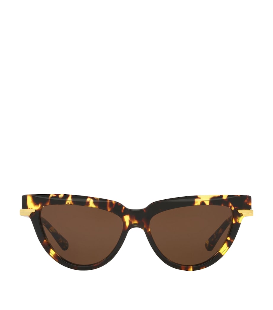 Acetate 06J000421 Sunglasses 4402D1 Image 1