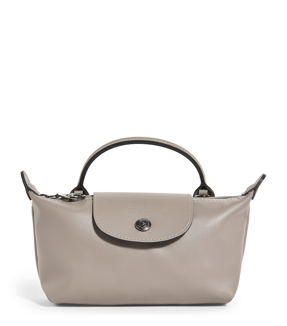 Extra-Small Leather Le Pliage Xtra Pouch P55 TURTLEDOVE Image 1