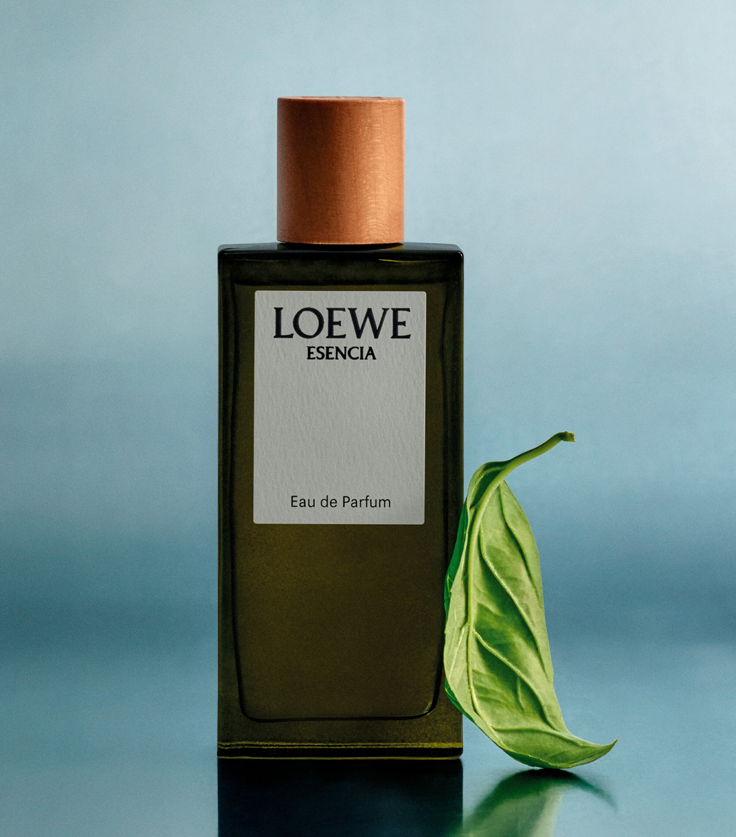 香水(ユニセックス) LOEWE ESENCIA Eau de Parfum 50ML Loewe Esencia 1.7oz Eau De Parfum Spray for Men, Herbal