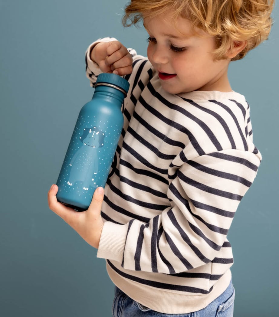 Mr Triceratops Water Bottle (500ml) MULTI Image 3